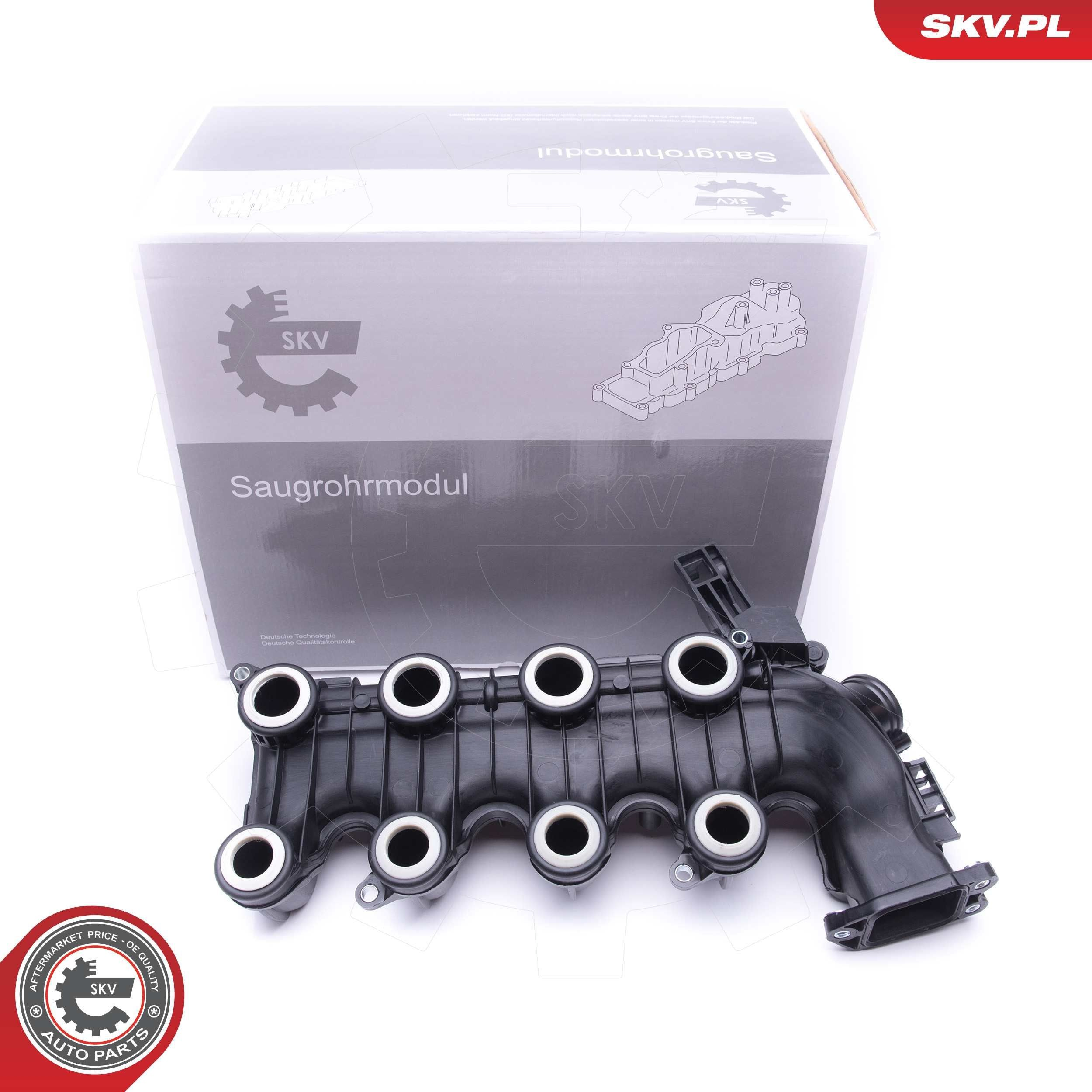 49SKV022 SKV